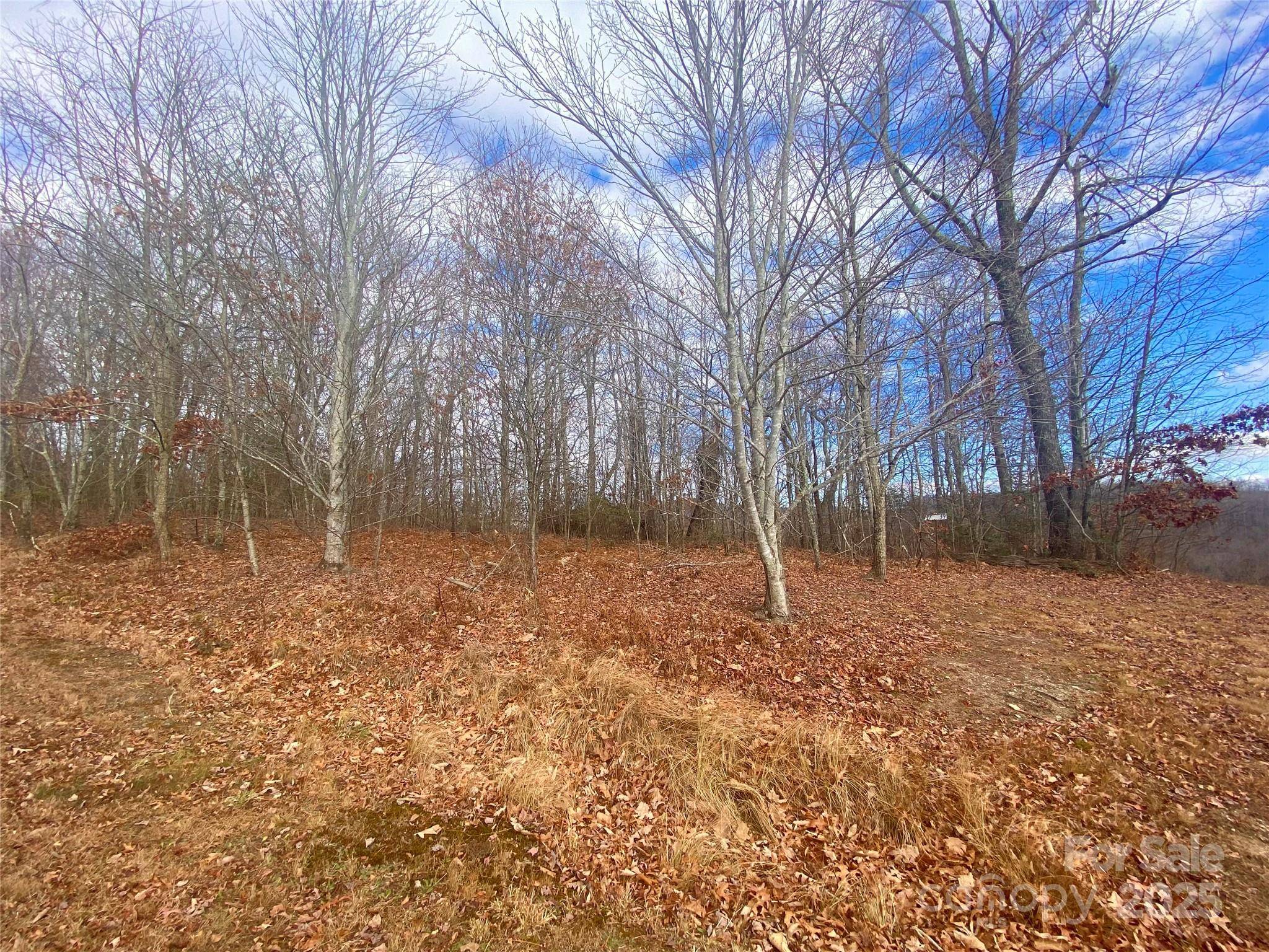 Little Switzerland, NC 28749,Lot 37 Skyline RD #37