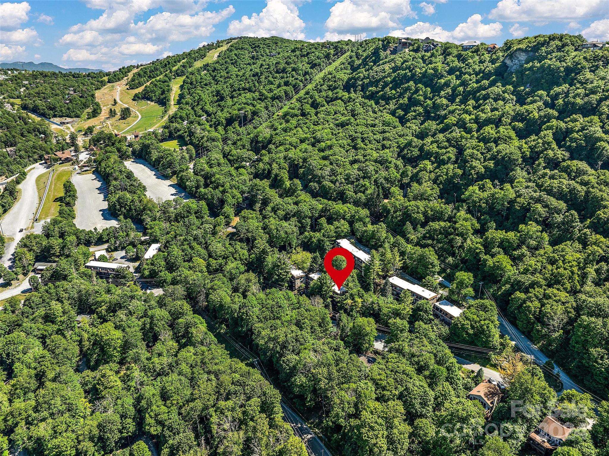 Beech Mountain, NC 28604,101 Mid Holiday LN #E217