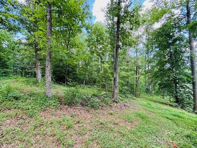 Rutherfordton, NC 28139,0 Plantation Drive EXT