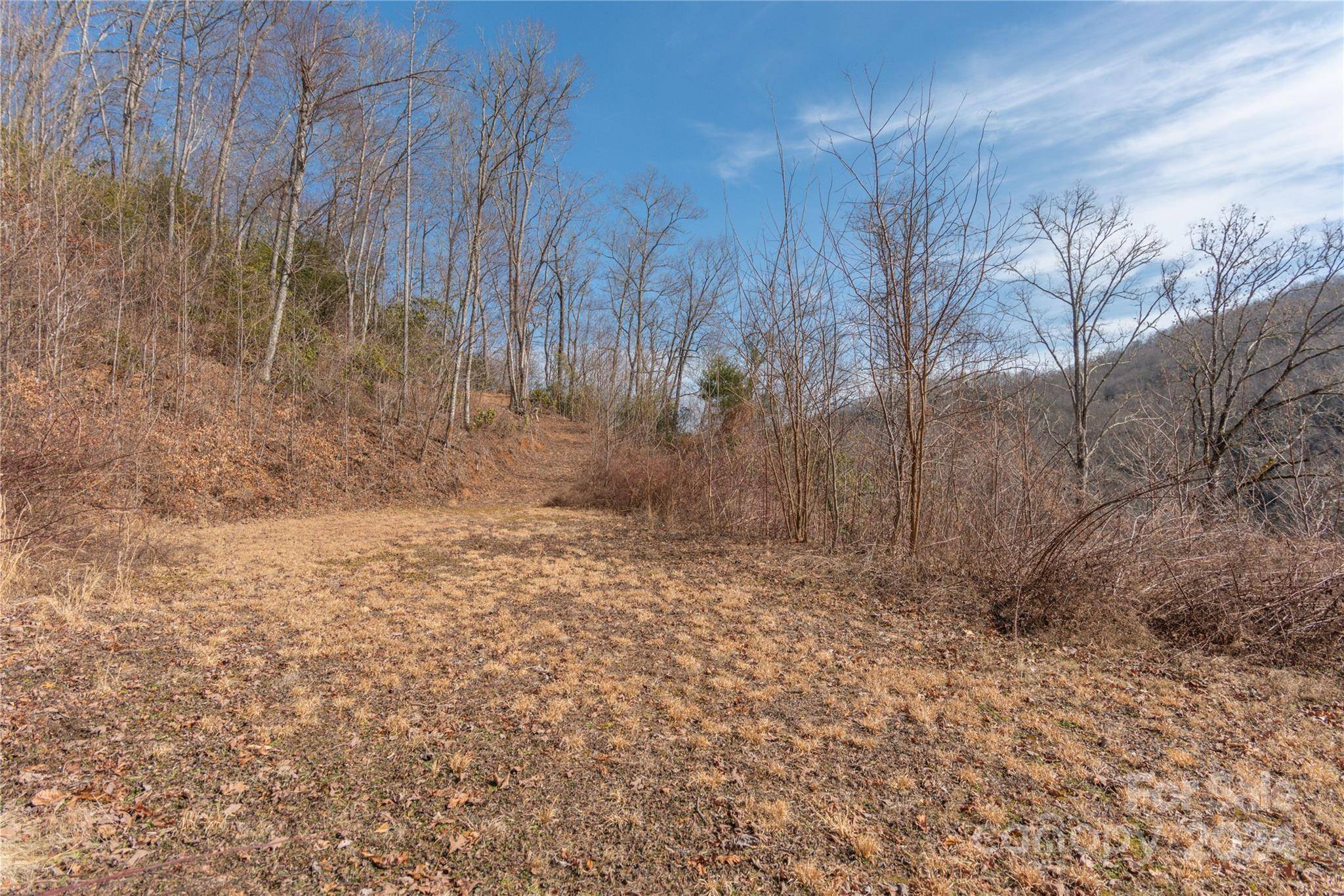 Cullowhee, NC 28723,2220 Tract 2 Tilley Creek RD