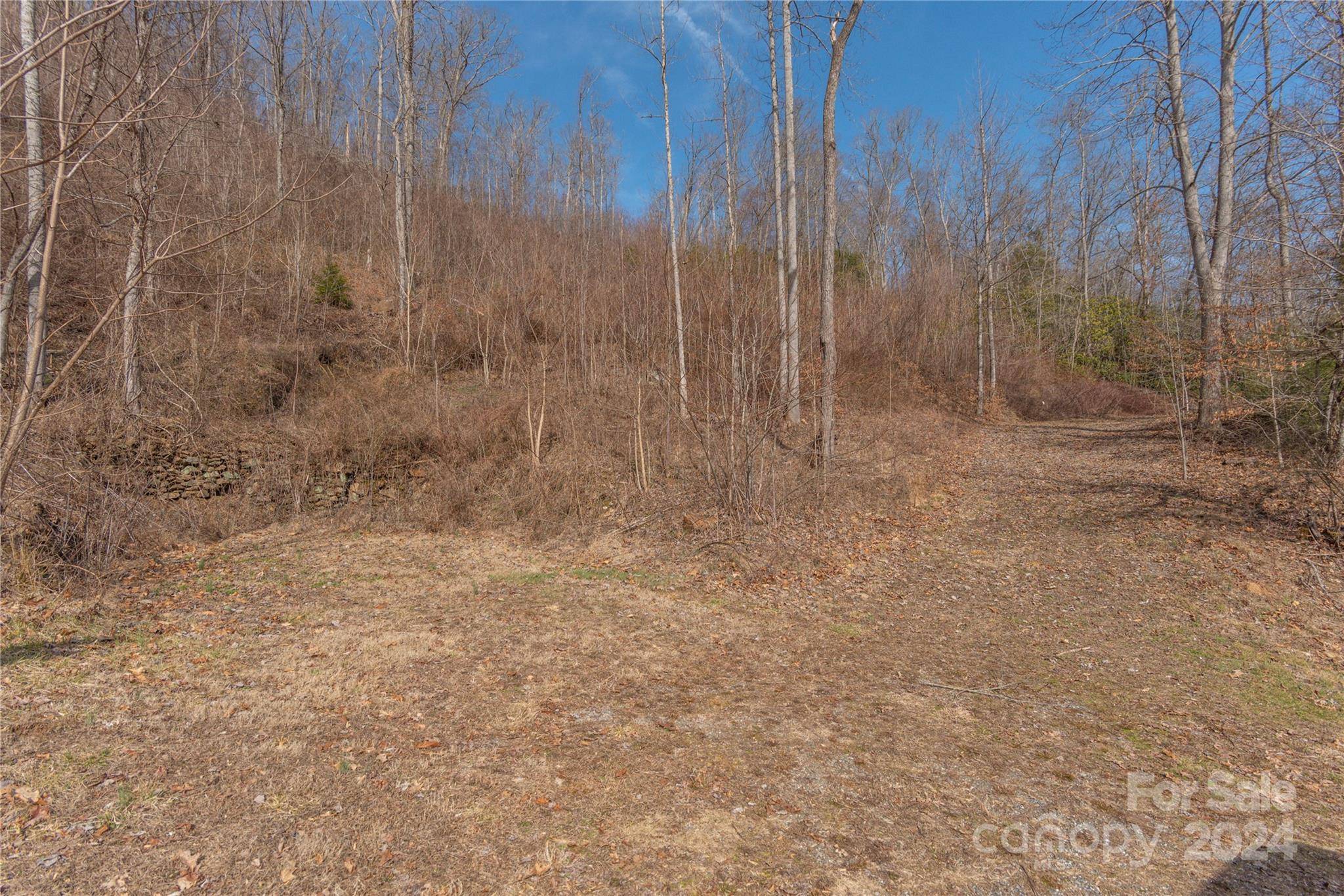 Cullowhee, NC 28723,2220 Tract 2 Tilley Creek RD