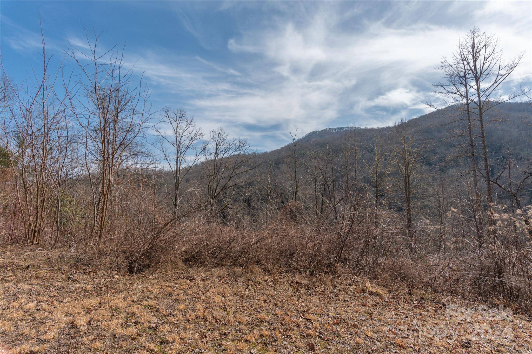 Cullowhee, NC 28723,2220 Tract 2 Tilley Creek RD