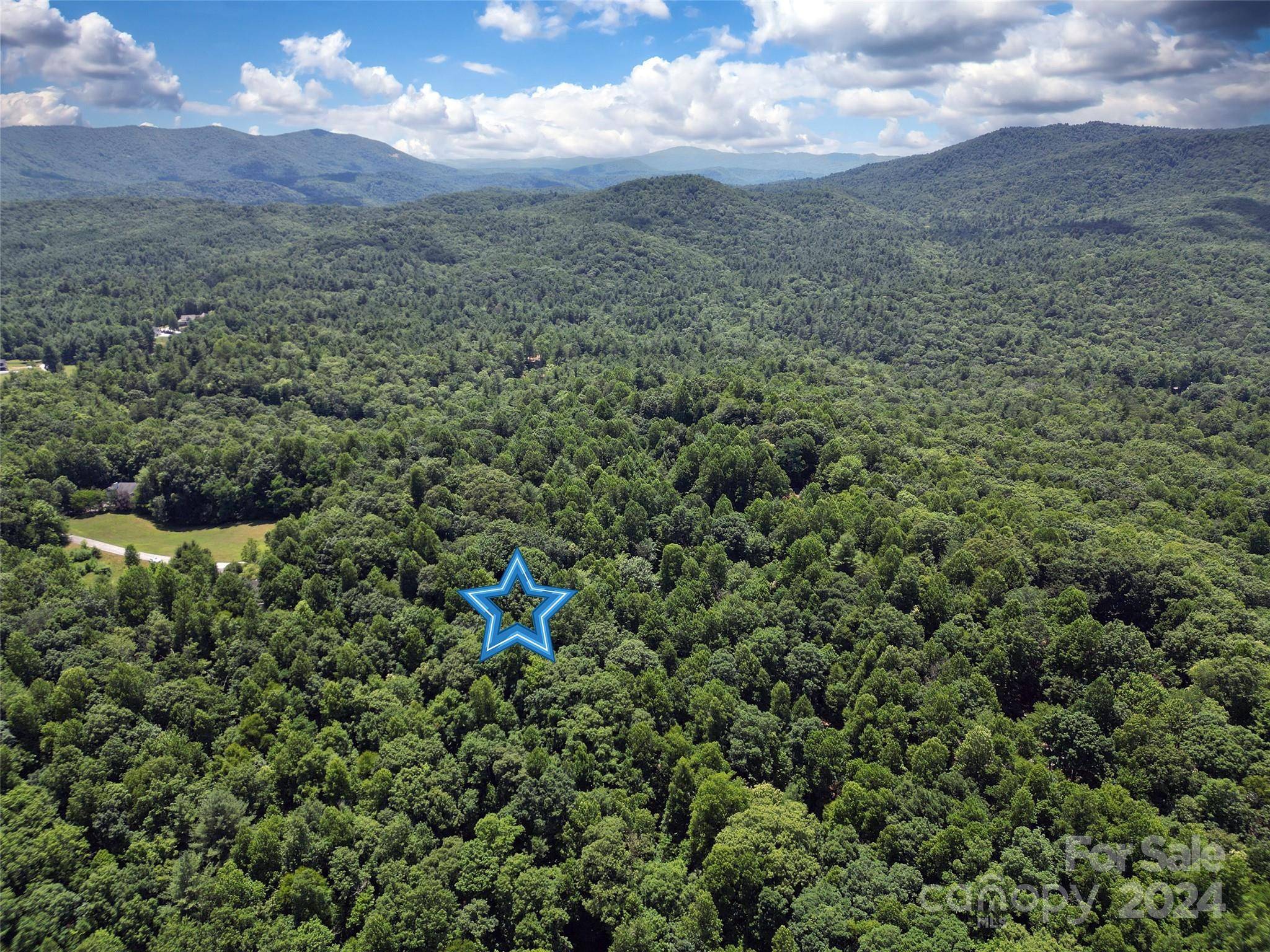 Hendersonville, NC 28739,TBD Hickory Tree LN