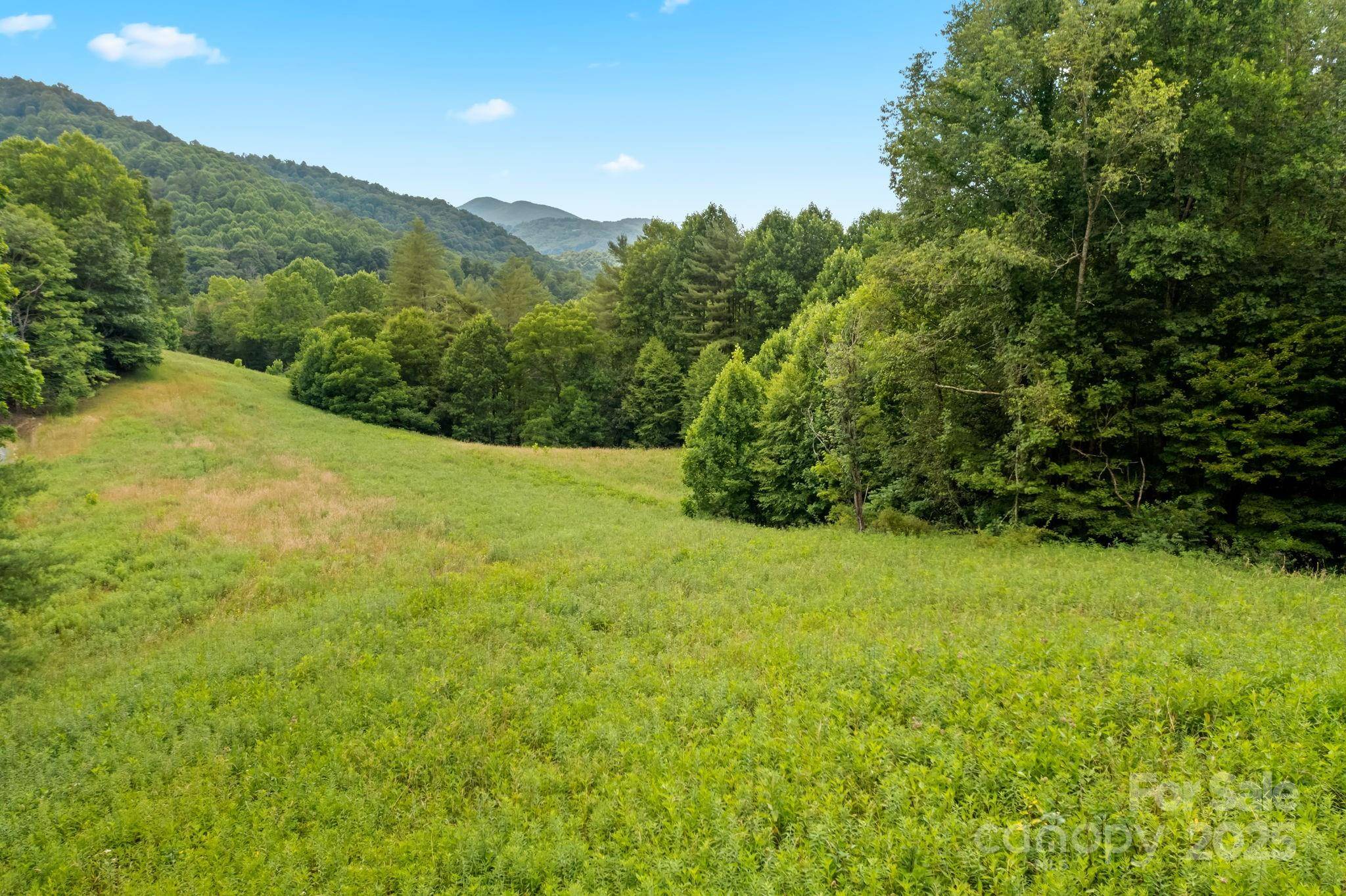 Sugar Grove, NC 28679,166+ Acres Lower Rush Branch RD