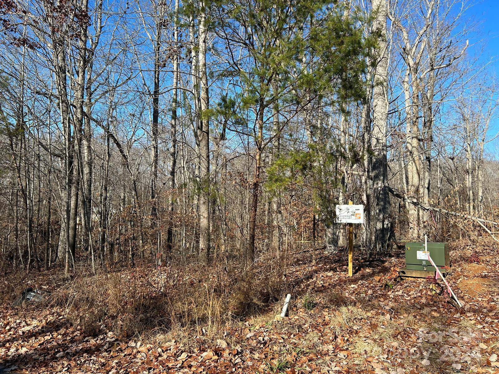Iron Station, NC 28080,0 Lhasa Apso LN