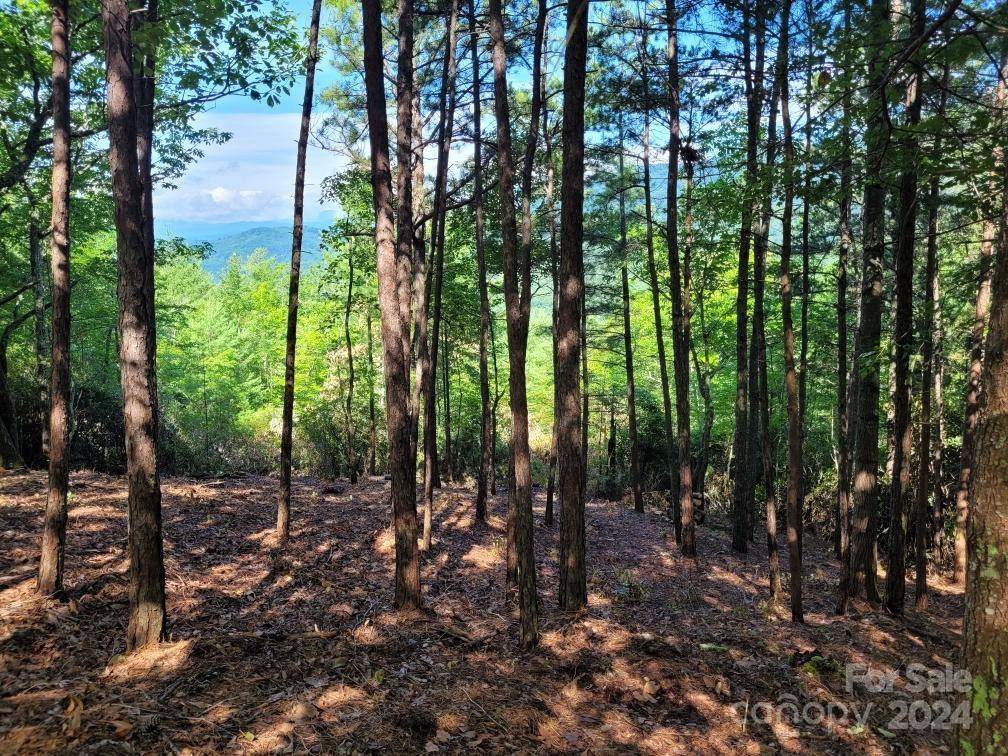 Marion, NC 28752,Lot 47 Sunrise PATH