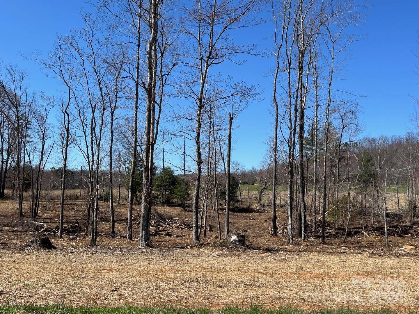 Traphill, NC 28685,00 Absher RD