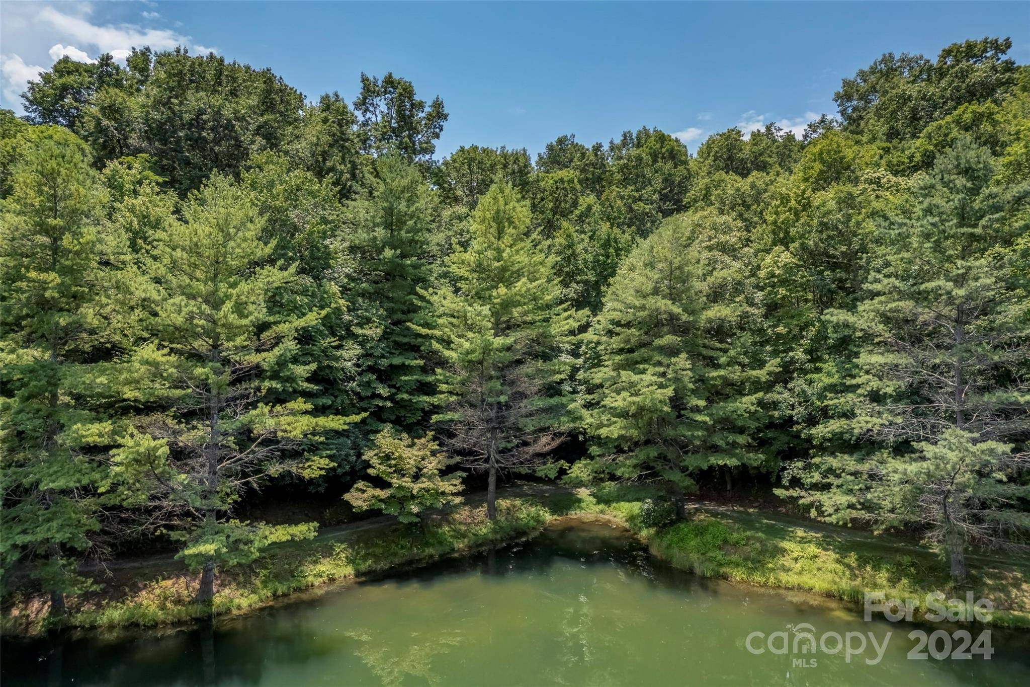 Brevard, NC 28712,U26 L25A Wadigei CT