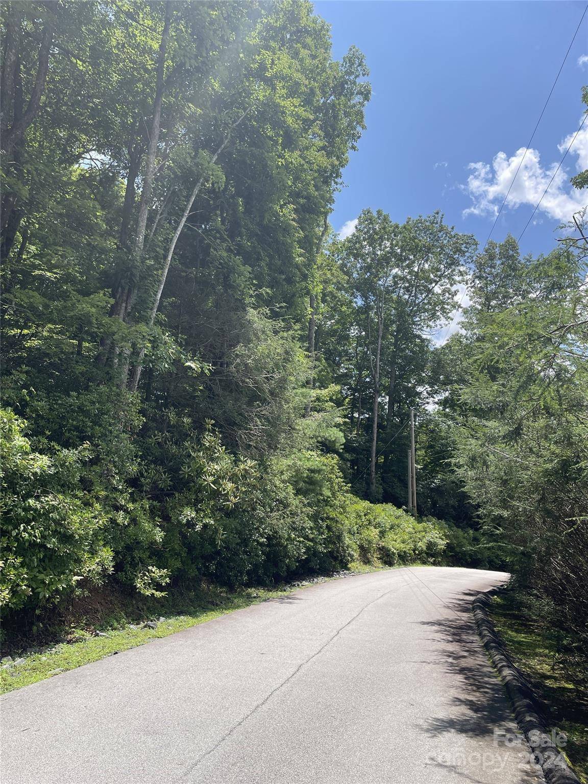 Burnsville, NC 28714,00 Winterstar LOOP #17