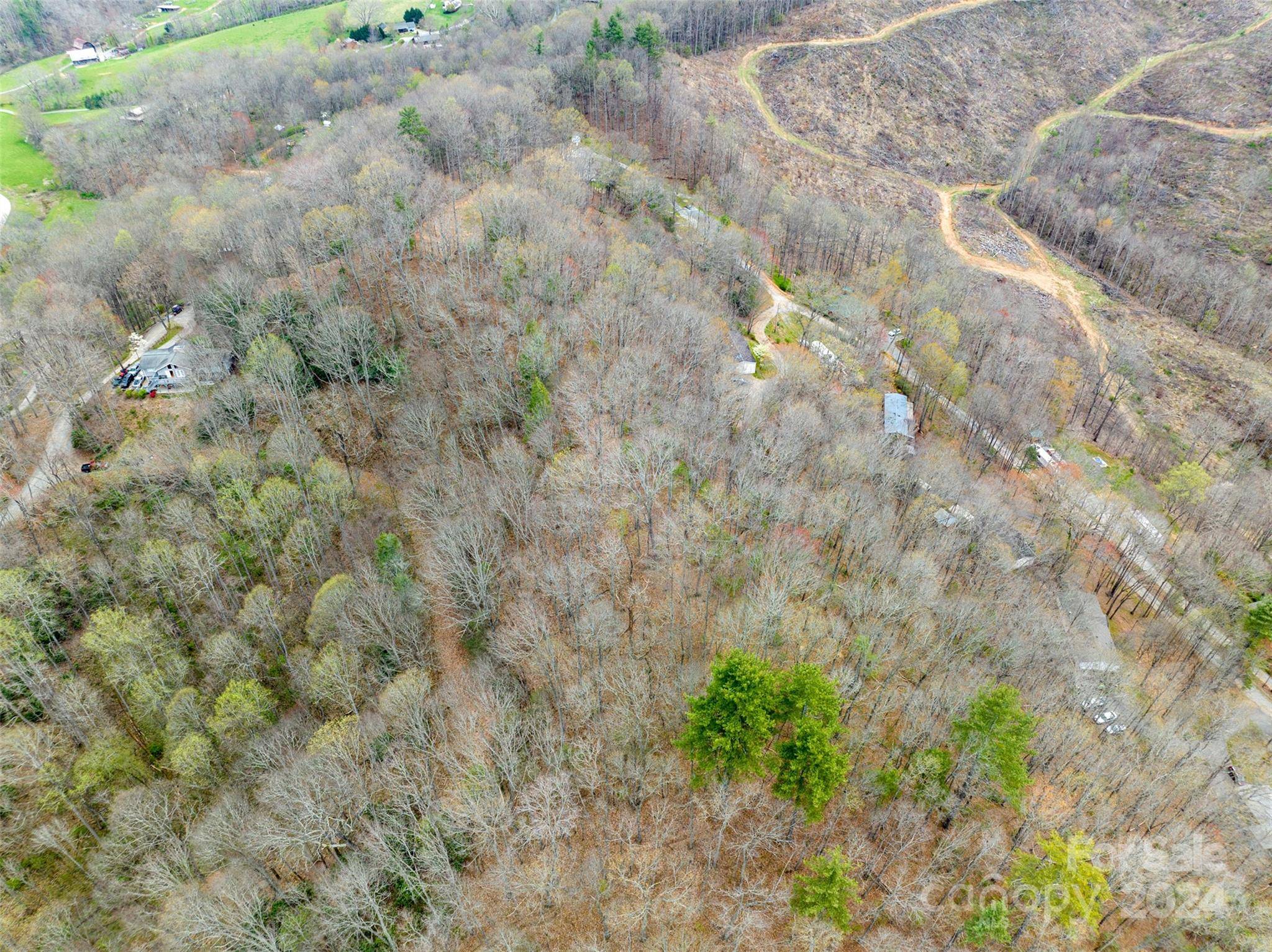 Waynesville, NC 28785,Lot 20 MINERVA DR