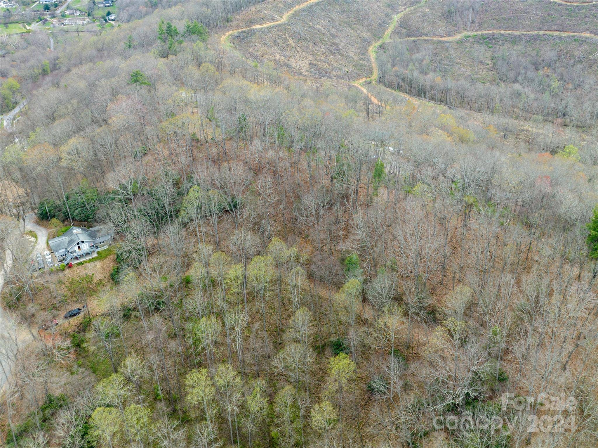 Waynesville, NC 28785,Lot 20 MINERVA DR