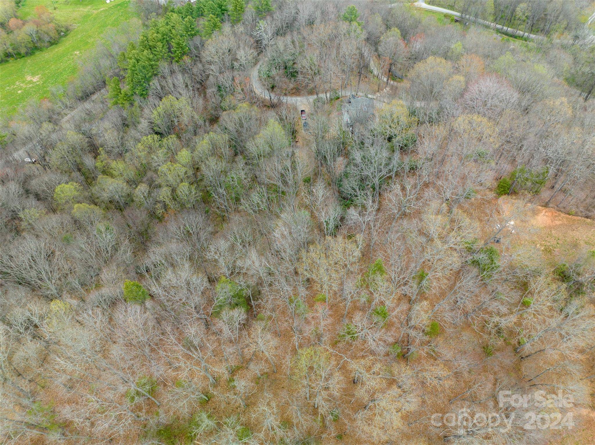 Waynesville, NC 28785,Lot 20 MINERVA DR