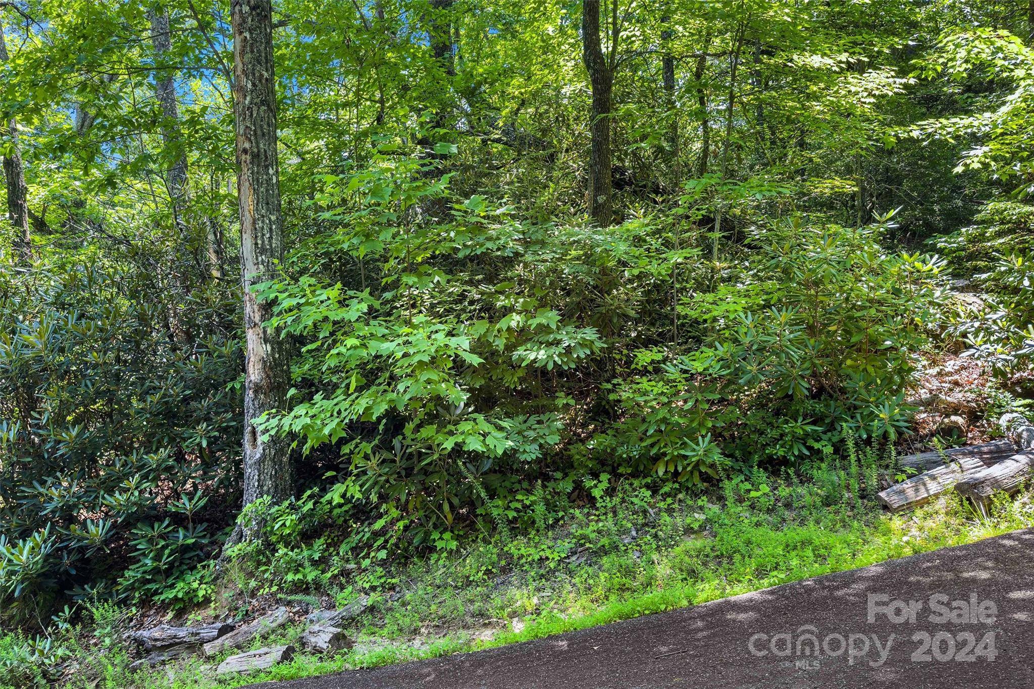 Black Mountain, NC 28711,144 Galax DR #T-42