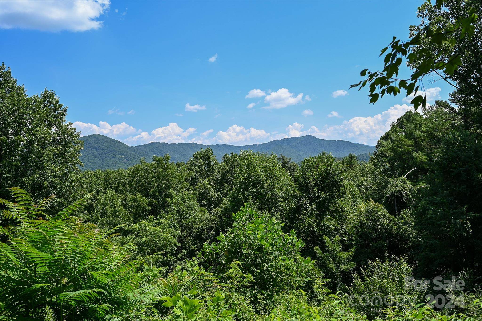 Asheville, NC 28804,29 Grovepoint WAY #9