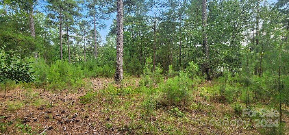 Granite Falls, NC 28630,Lot 162 Scenic LN #162