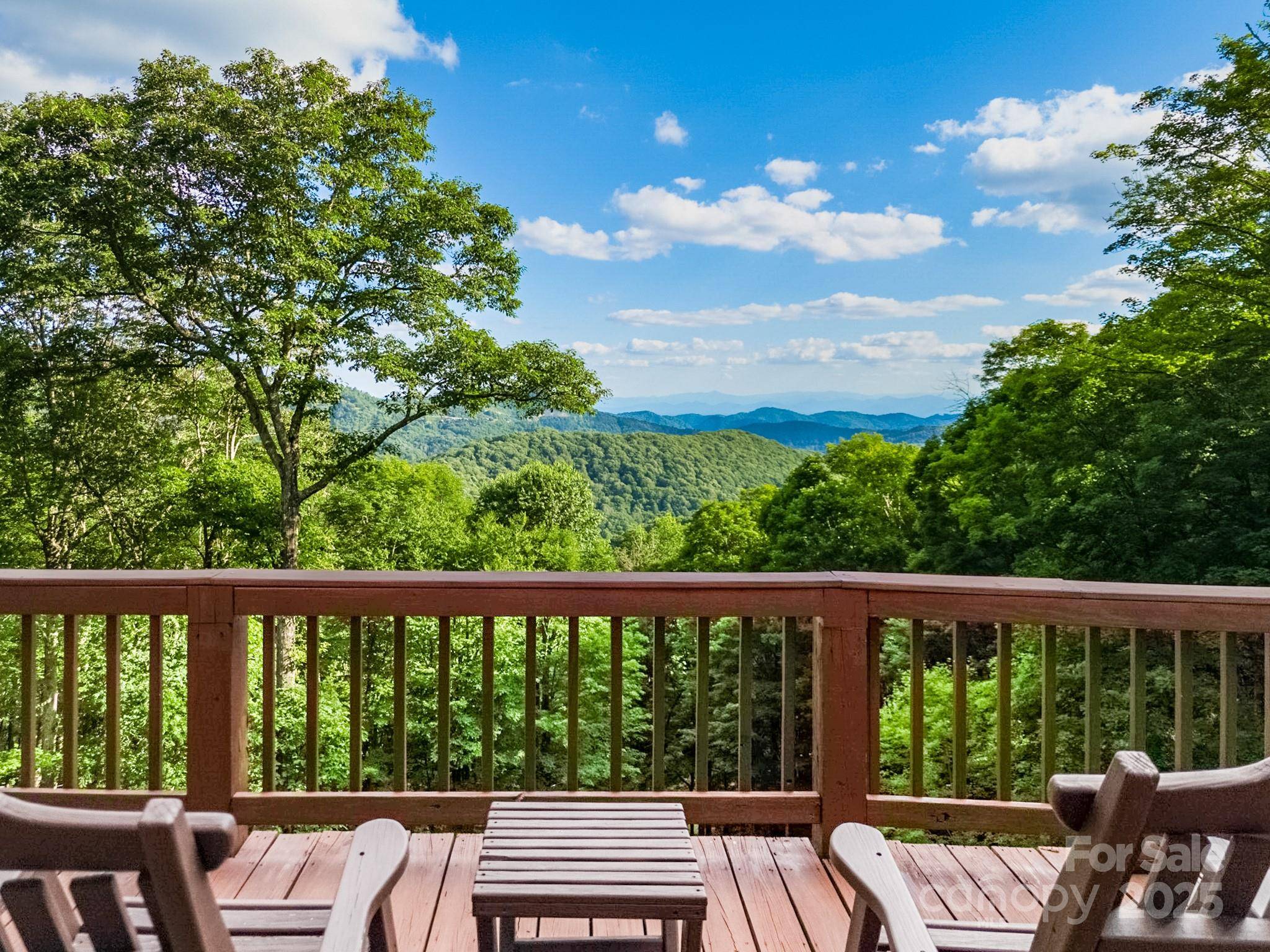 Mars Hill, NC 28754,853 Granny Lewis LN