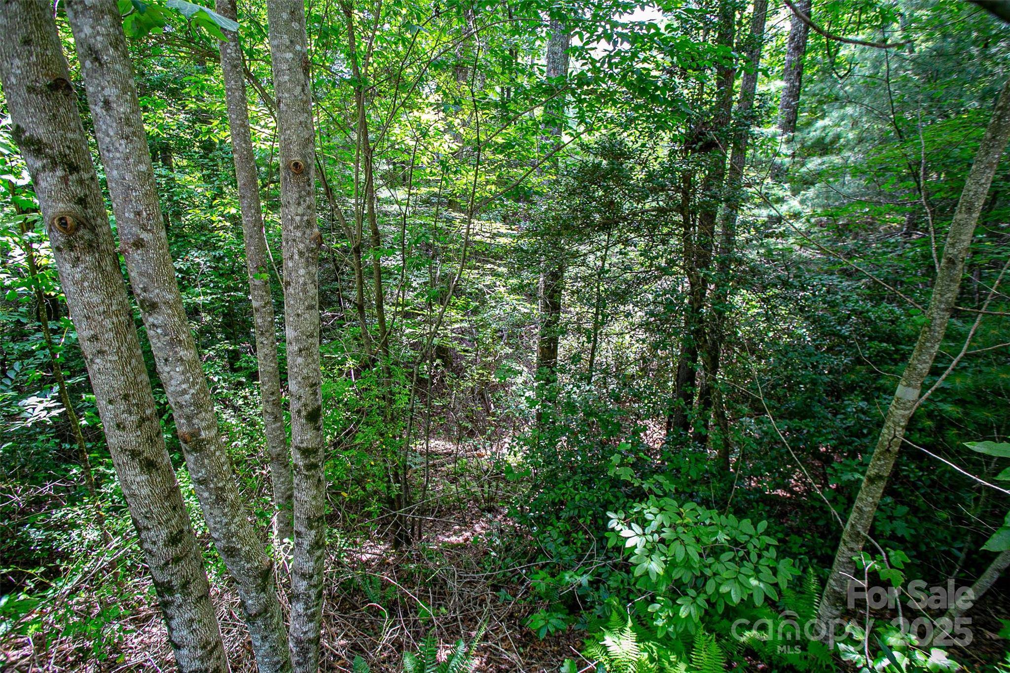 Brevard, NC 28712,TBD Stone Field TRL #68