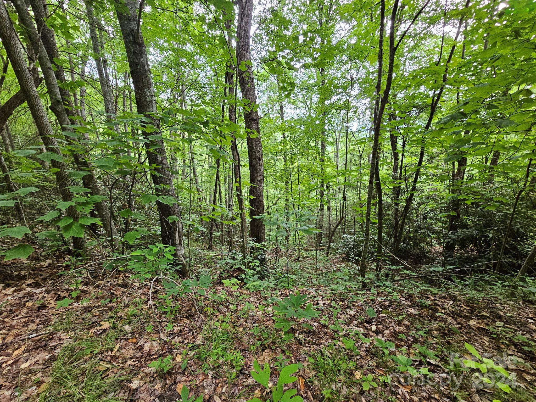 Waynesville, NC 28785,00 Autumn DR #2