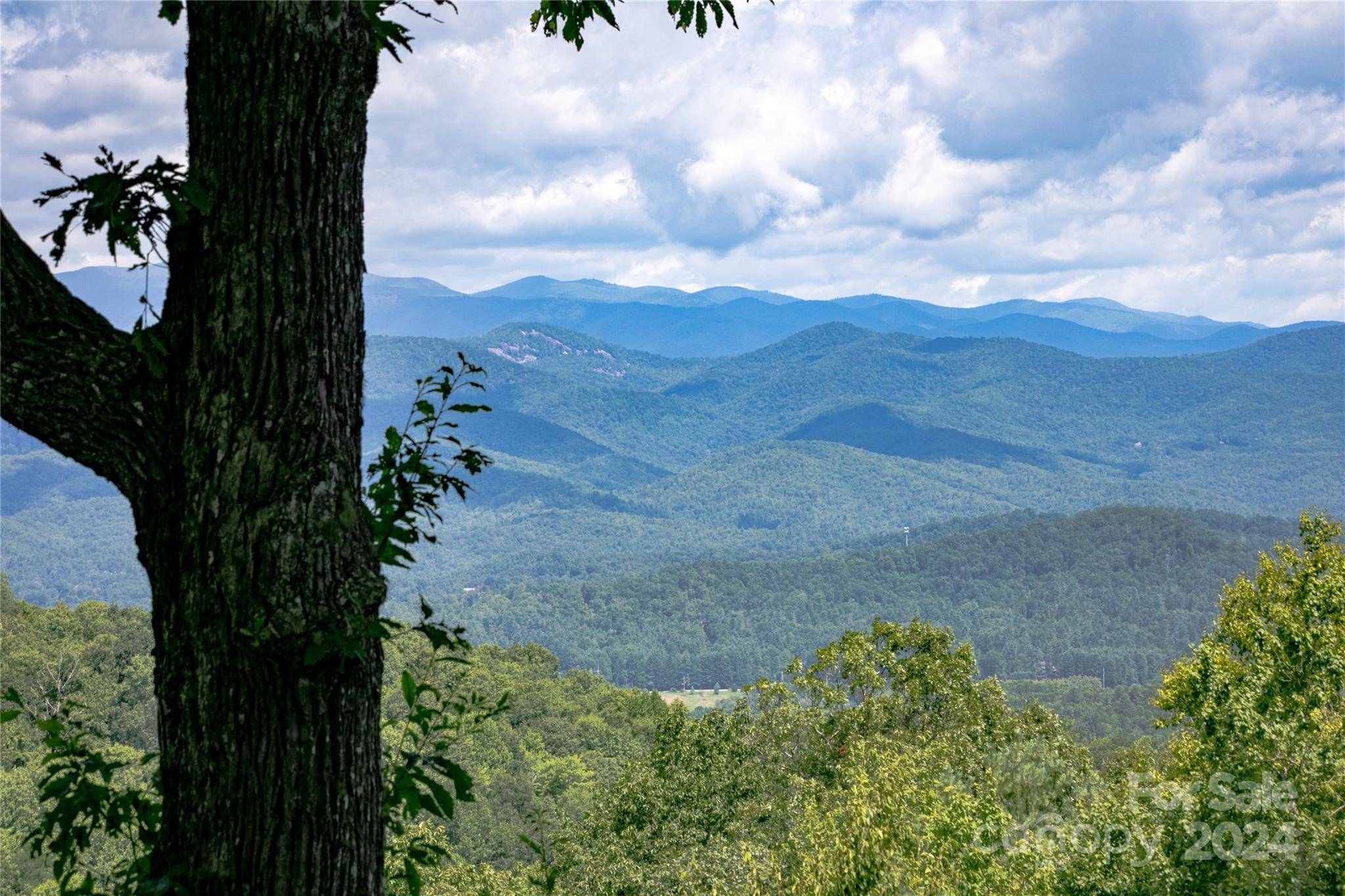 Brevard, NC 28712,298 Tinequa DR