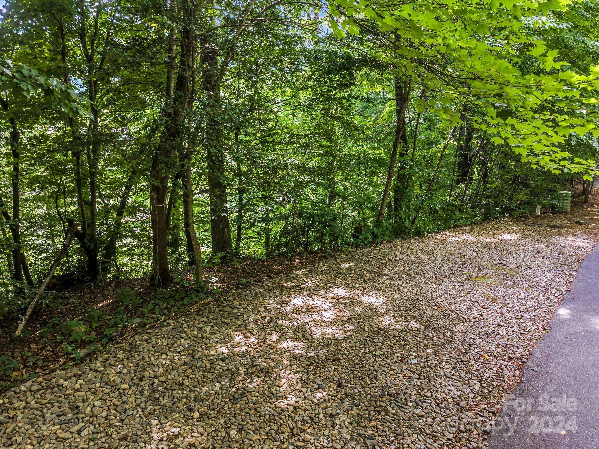 Black Mountain, NC 28711,8 Whitman LN