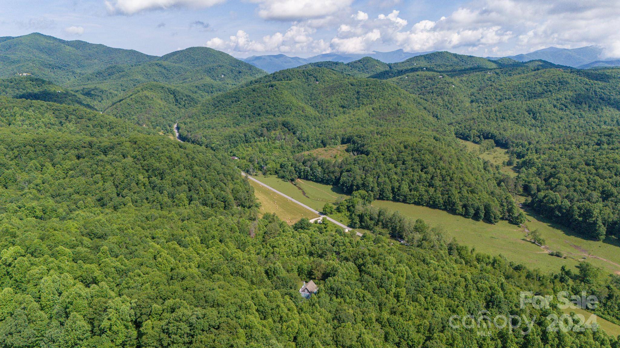 Black Mountain, NC 28711,63 Tree Haven RD
