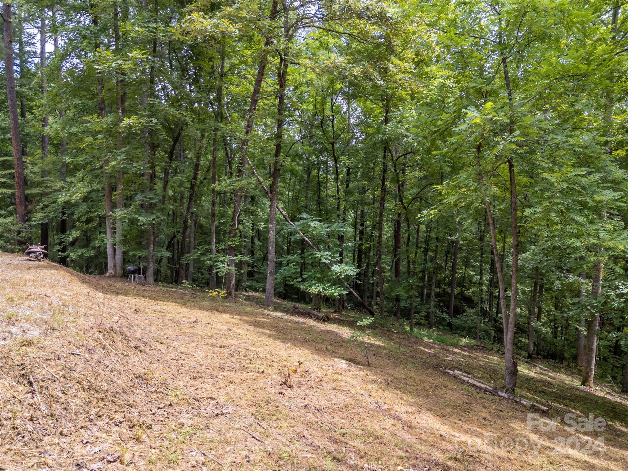 Rutherfordton, NC 28139,Lot 119 Creekside CIR