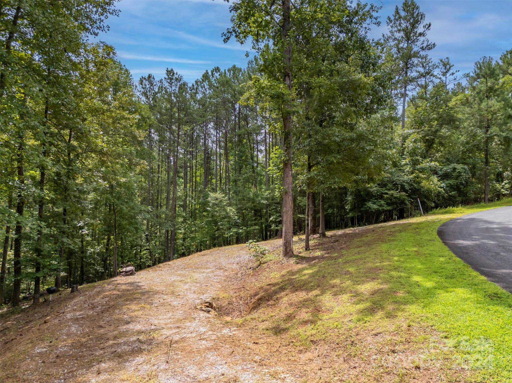 Rutherfordton, NC 28139,Lot 119 Creekside CIR