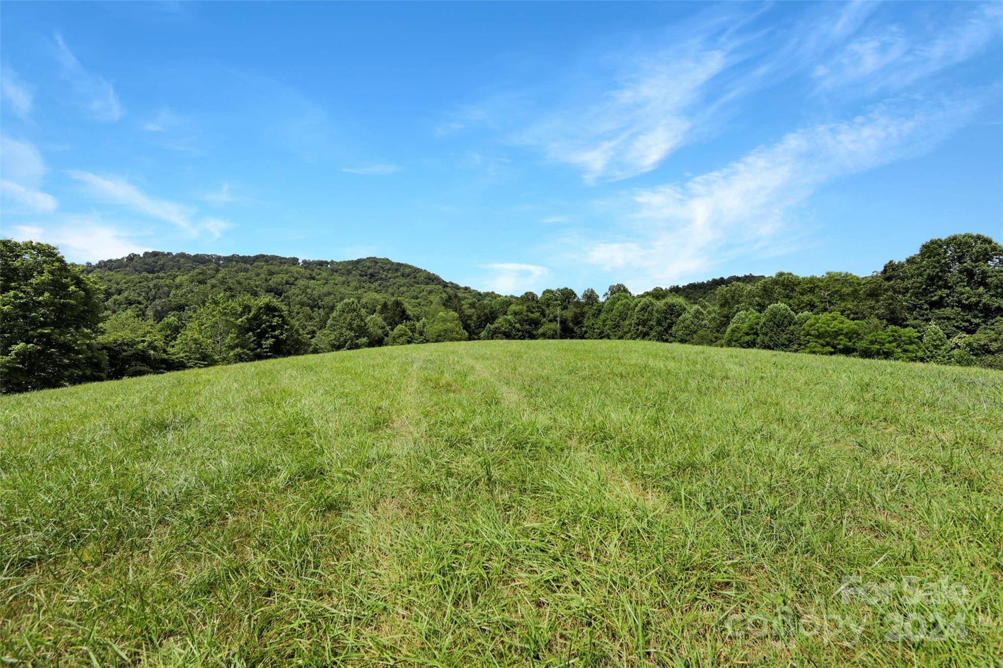 Waynesville, NC 28785,30 Leming LN