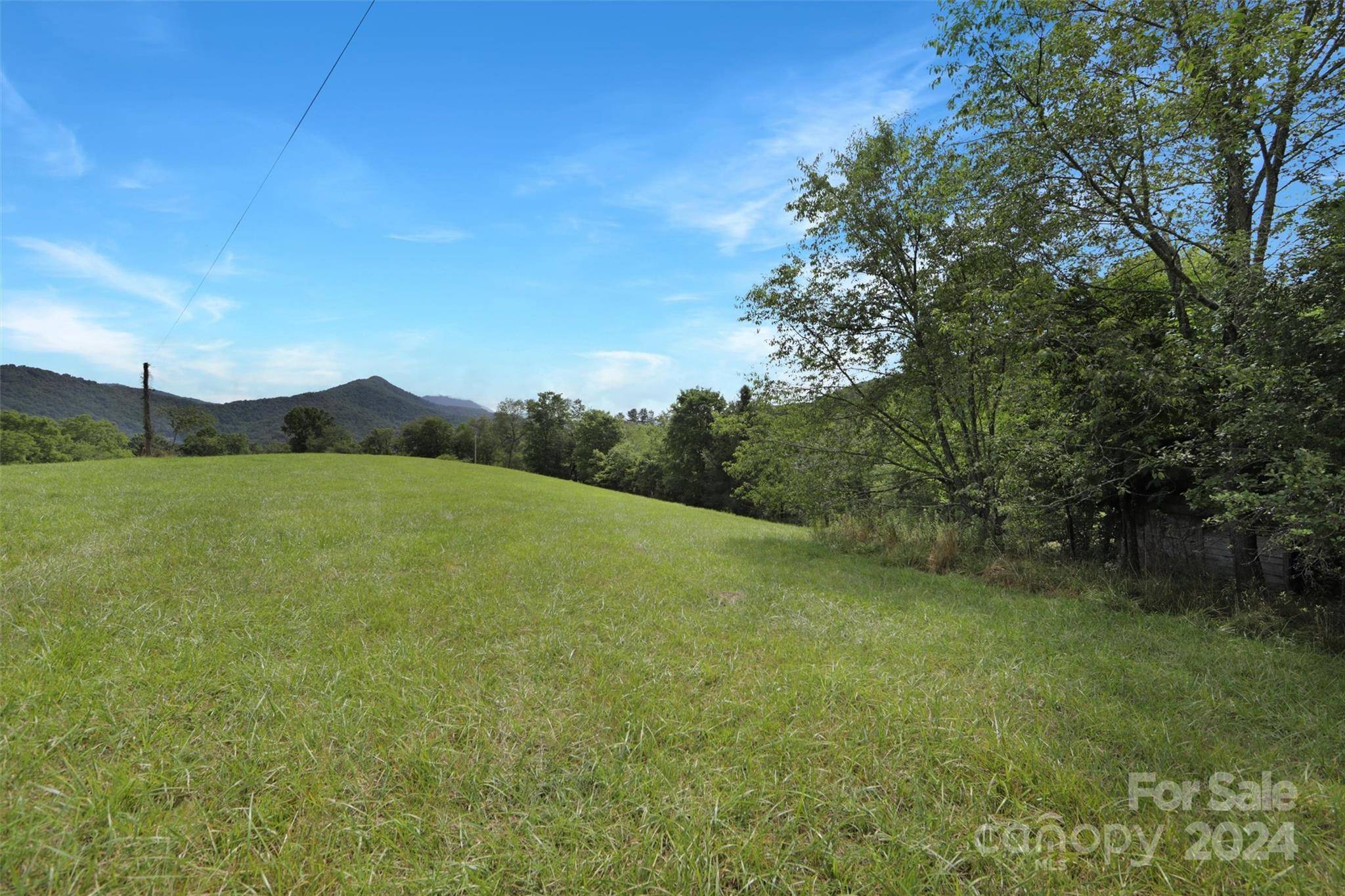 Waynesville, NC 28785,30 Leming LN