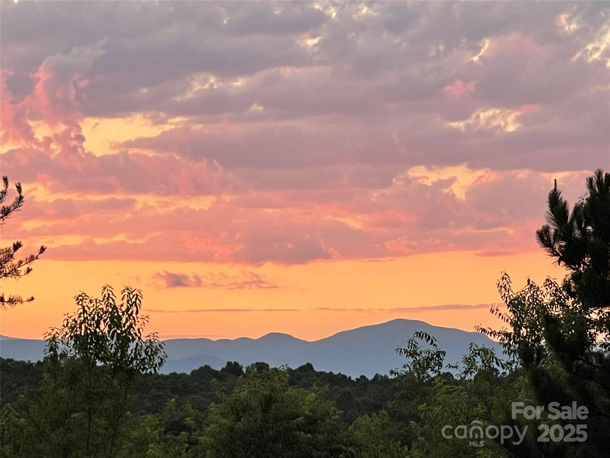 Tryon, NC 28782,9999 Moore RD #3