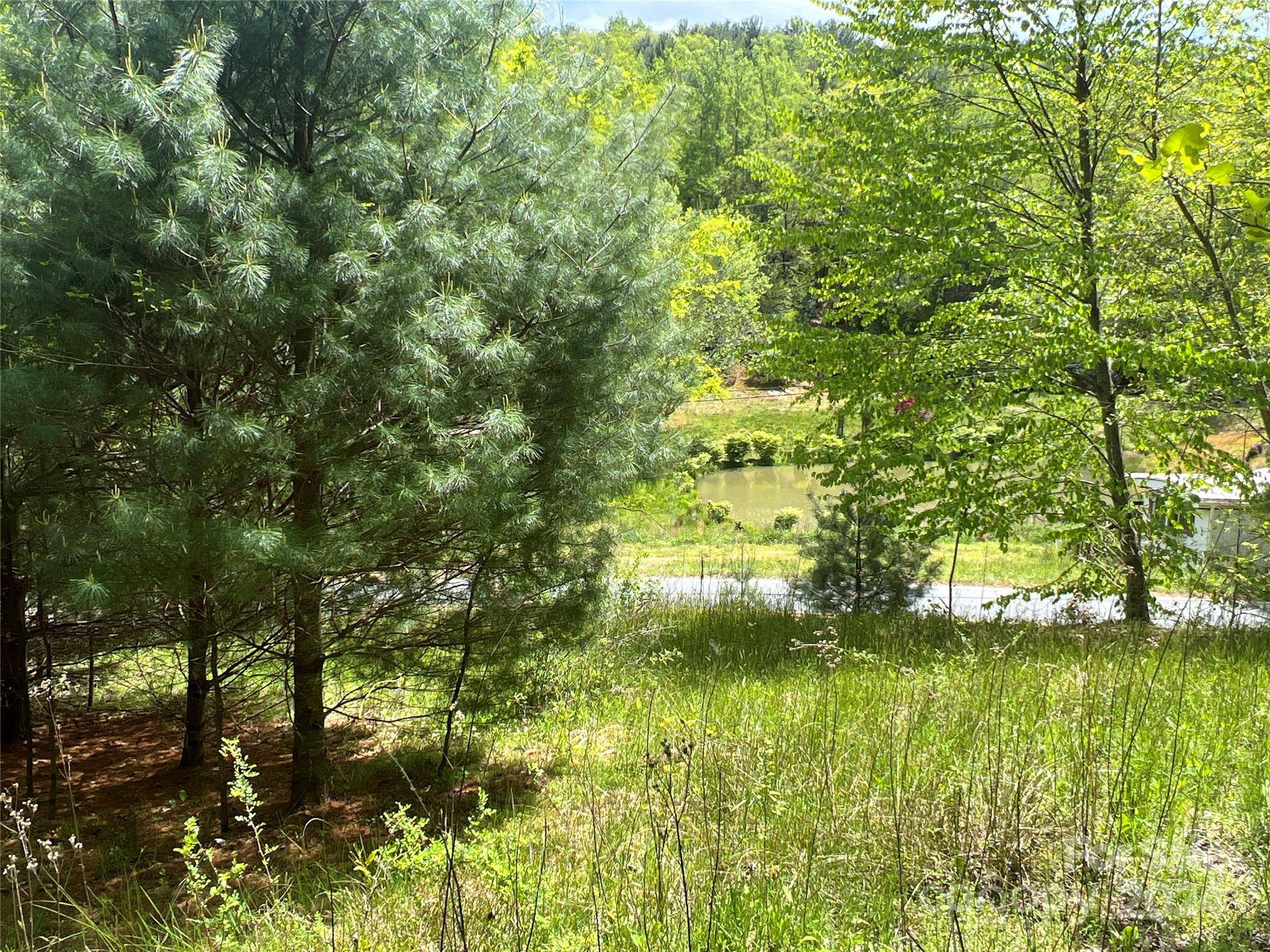 Deep Gap, NC 28618,00 Wildcat RD