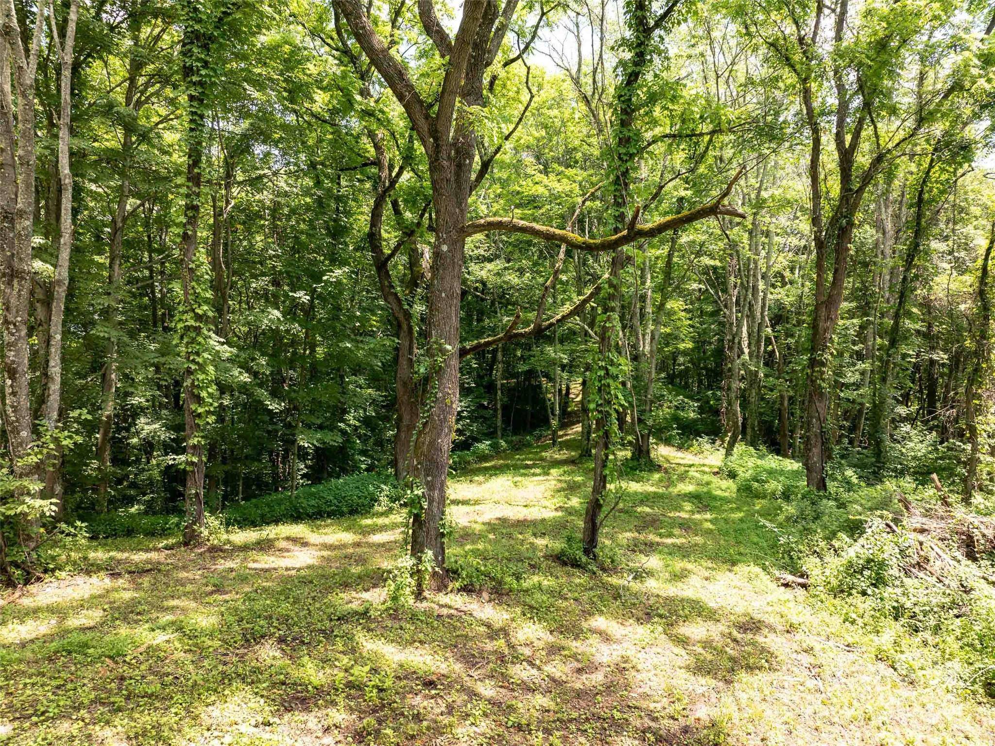 Waynesville, NC 28785,00 Hardy Branch TRL