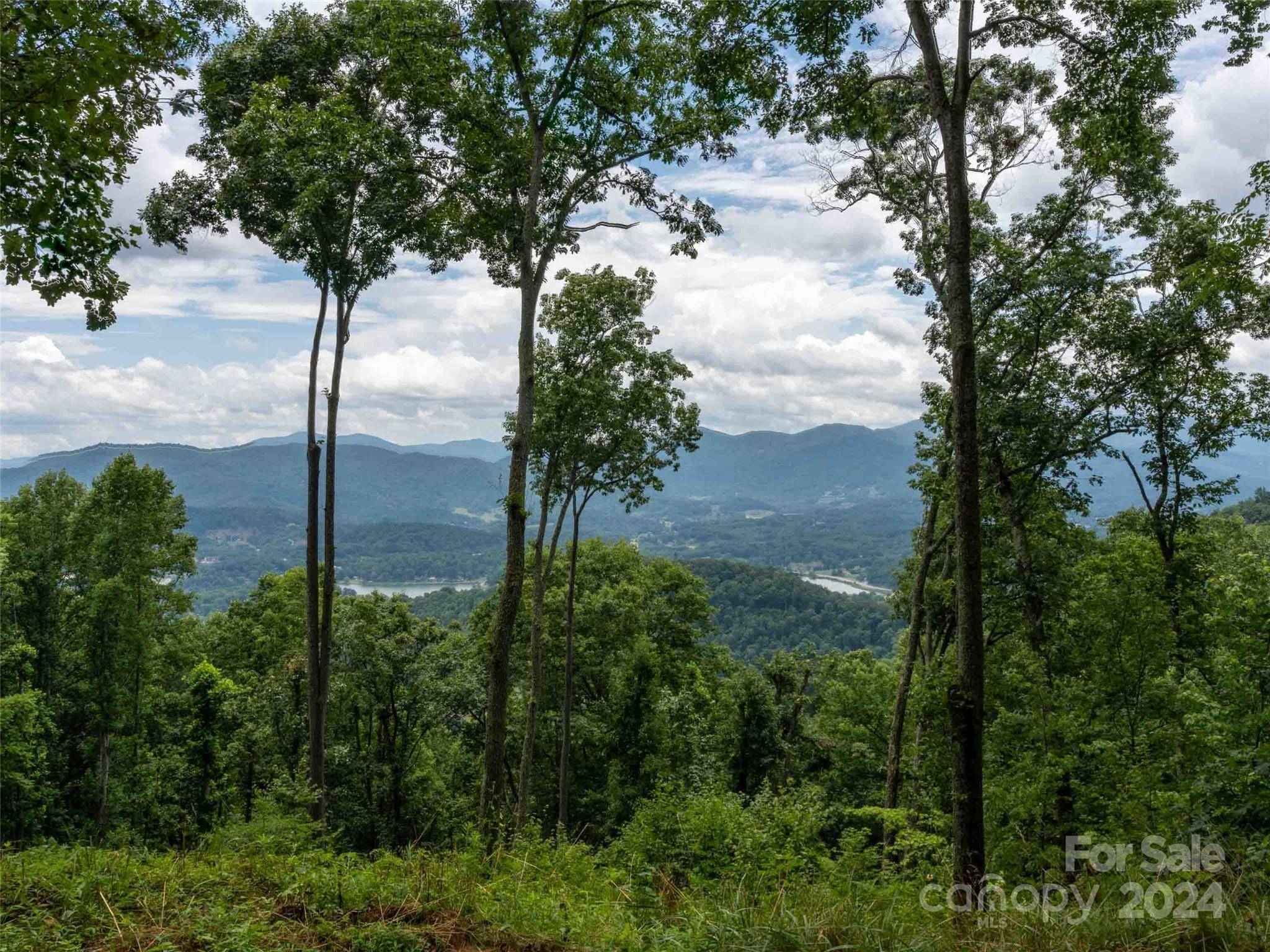 Waynesville, NC 28785,002 Sleepy Hollow DR