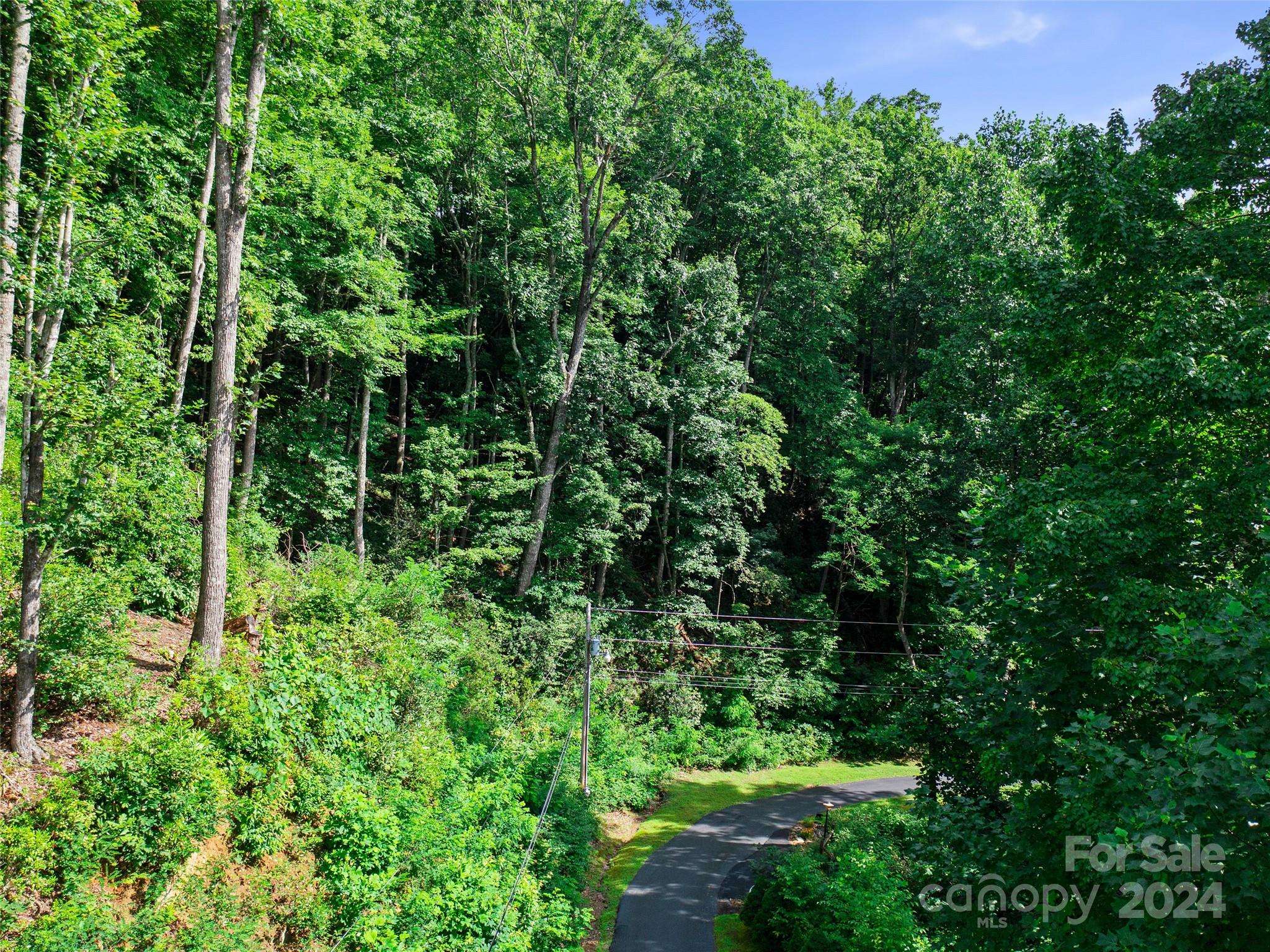 Burnsville, NC 28714,000 Falling Water DR