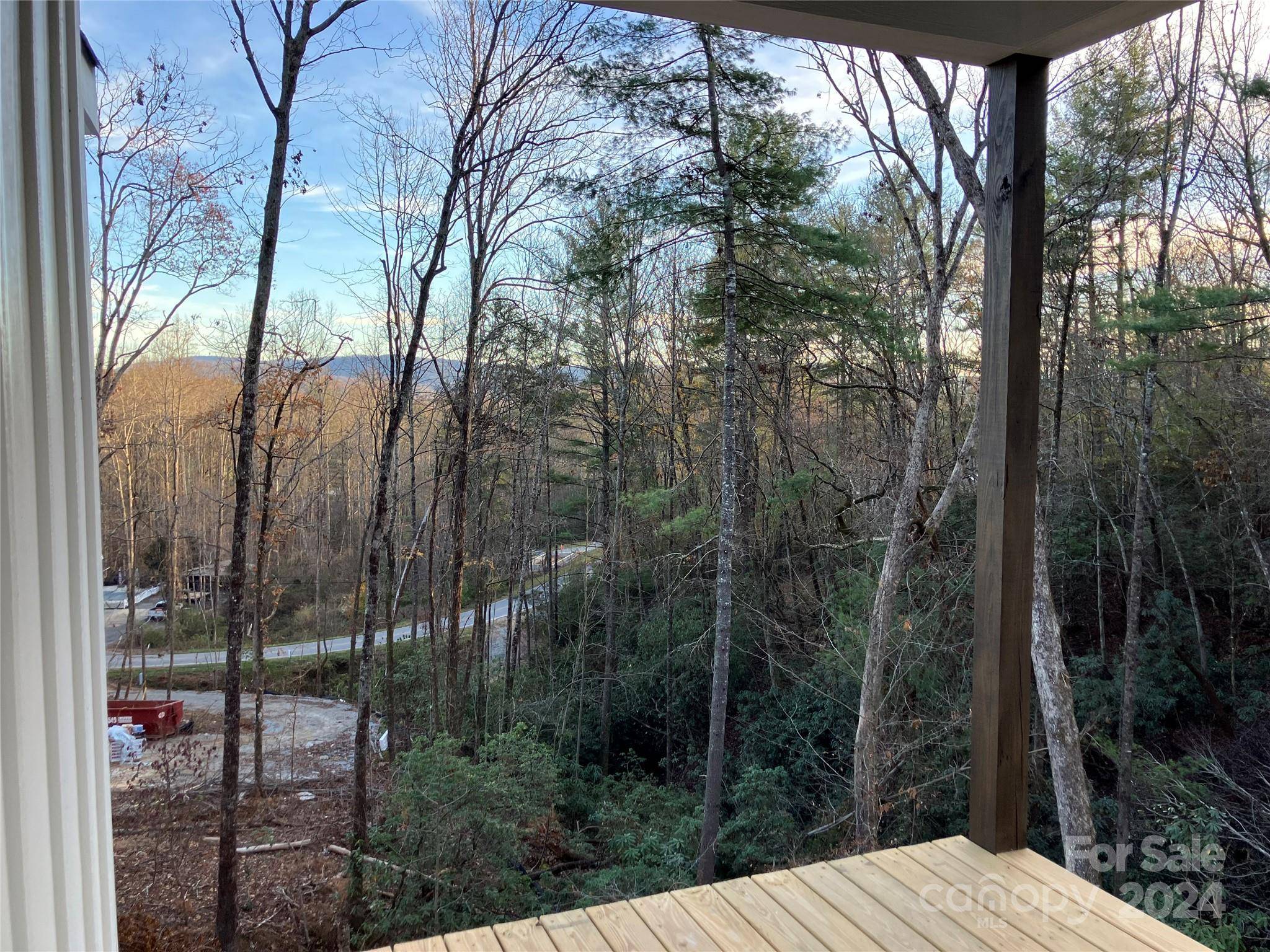 Horse Shoe, NC 28742,19 Terrace Forest TRL