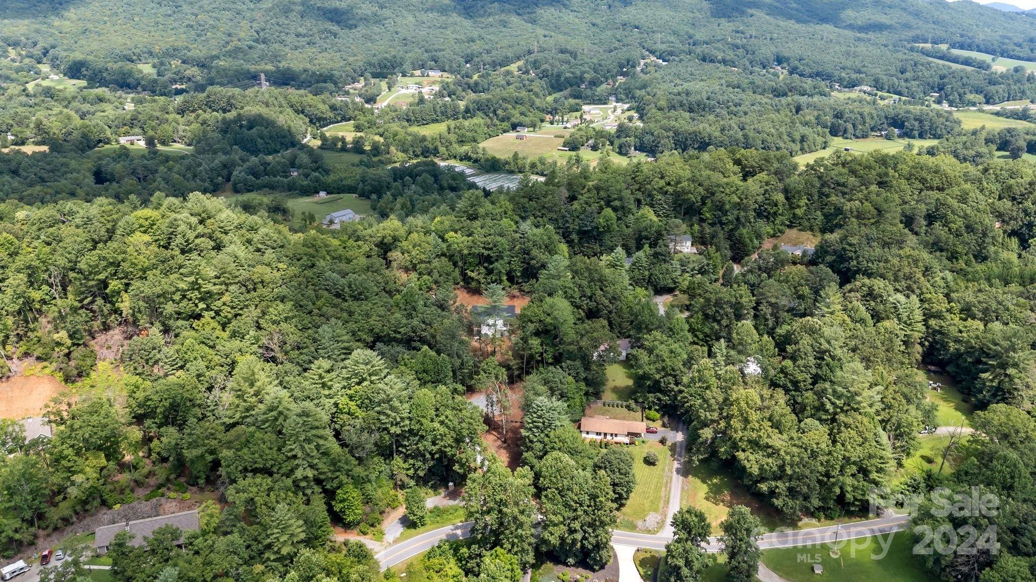 Horse Shoe, NC 28742,0 Terrace Forest TRL #4