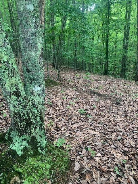 Bostic, NC 28018,Lot 52 Trailing Woods DR #52