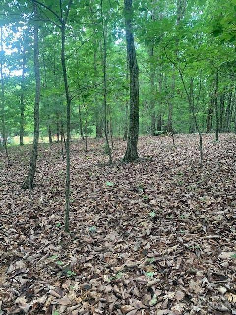 Bostic, NC 28018,Lot 52 Trailing Woods DR #52