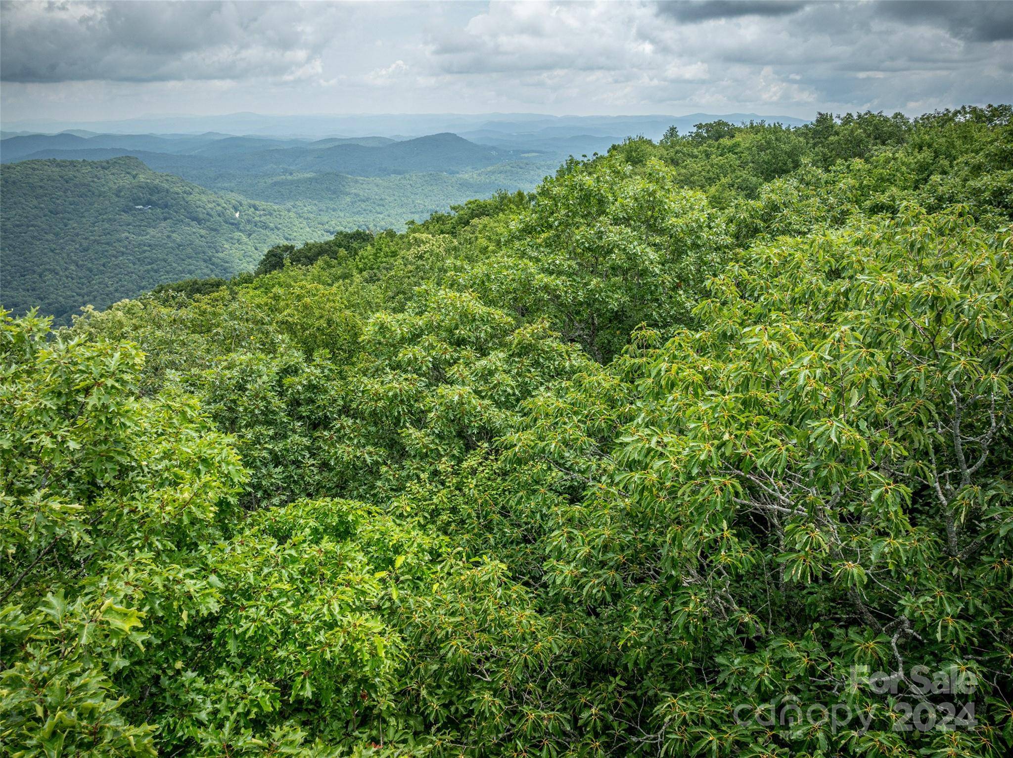 Lake Toxaway, NC 28747,000 Panthertown RD #38R