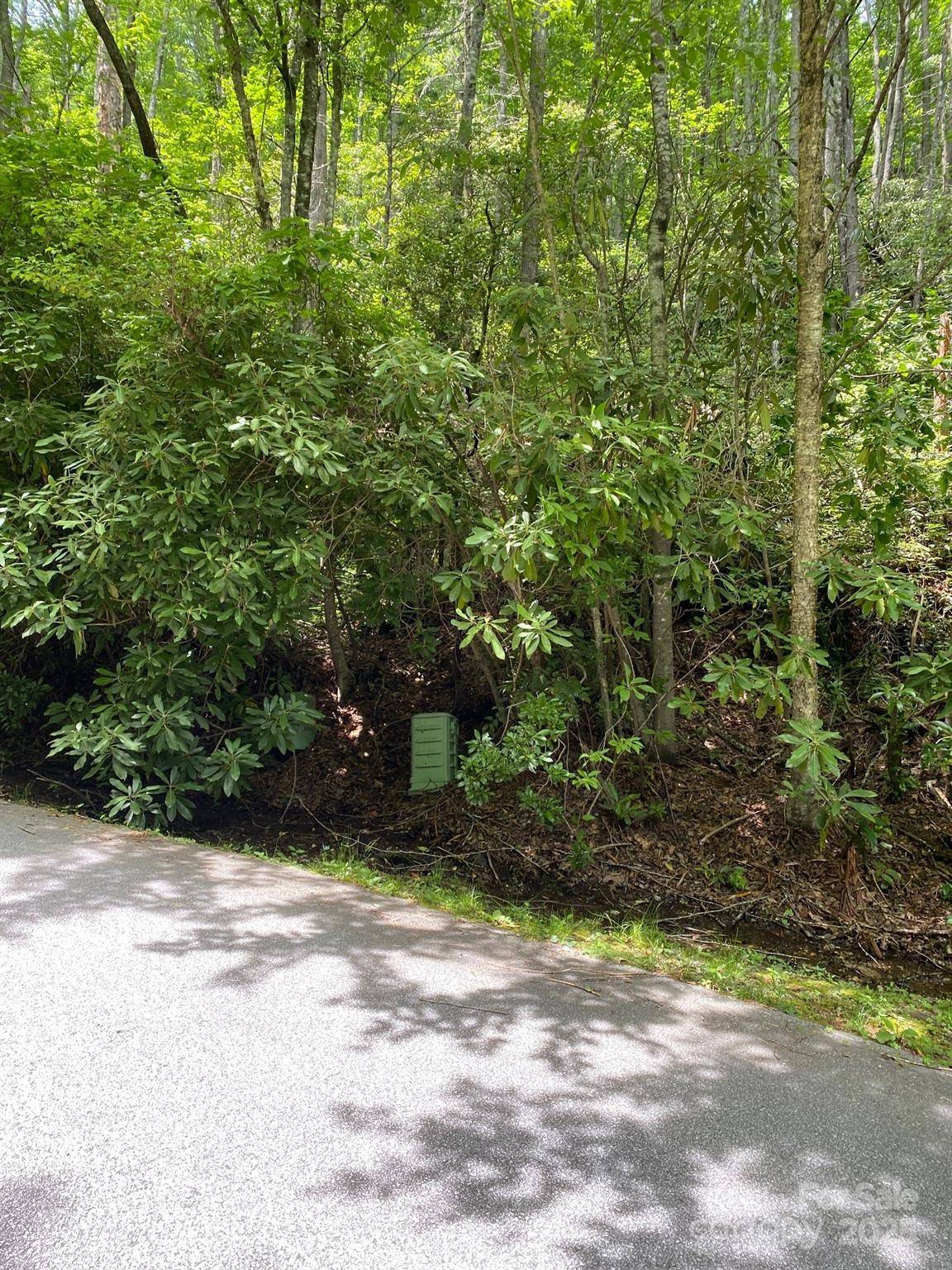 Sapphire, NC 28774,115 Hickory DR