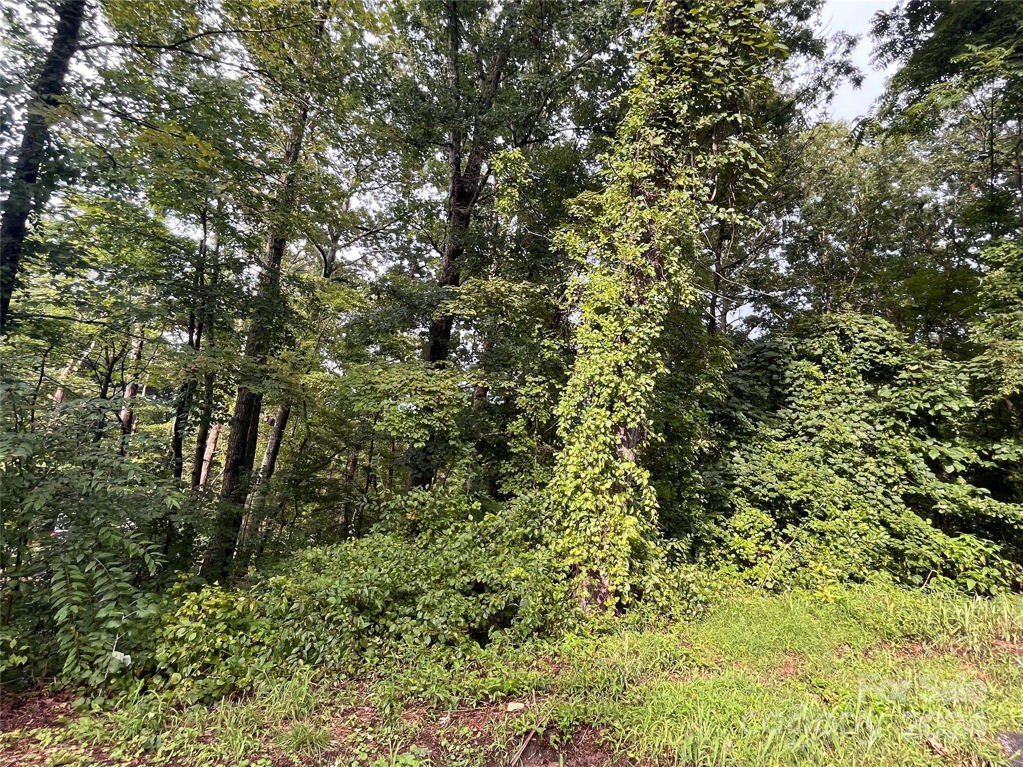 Hendersonville, NC 28792,00/TBD Dogwood LN