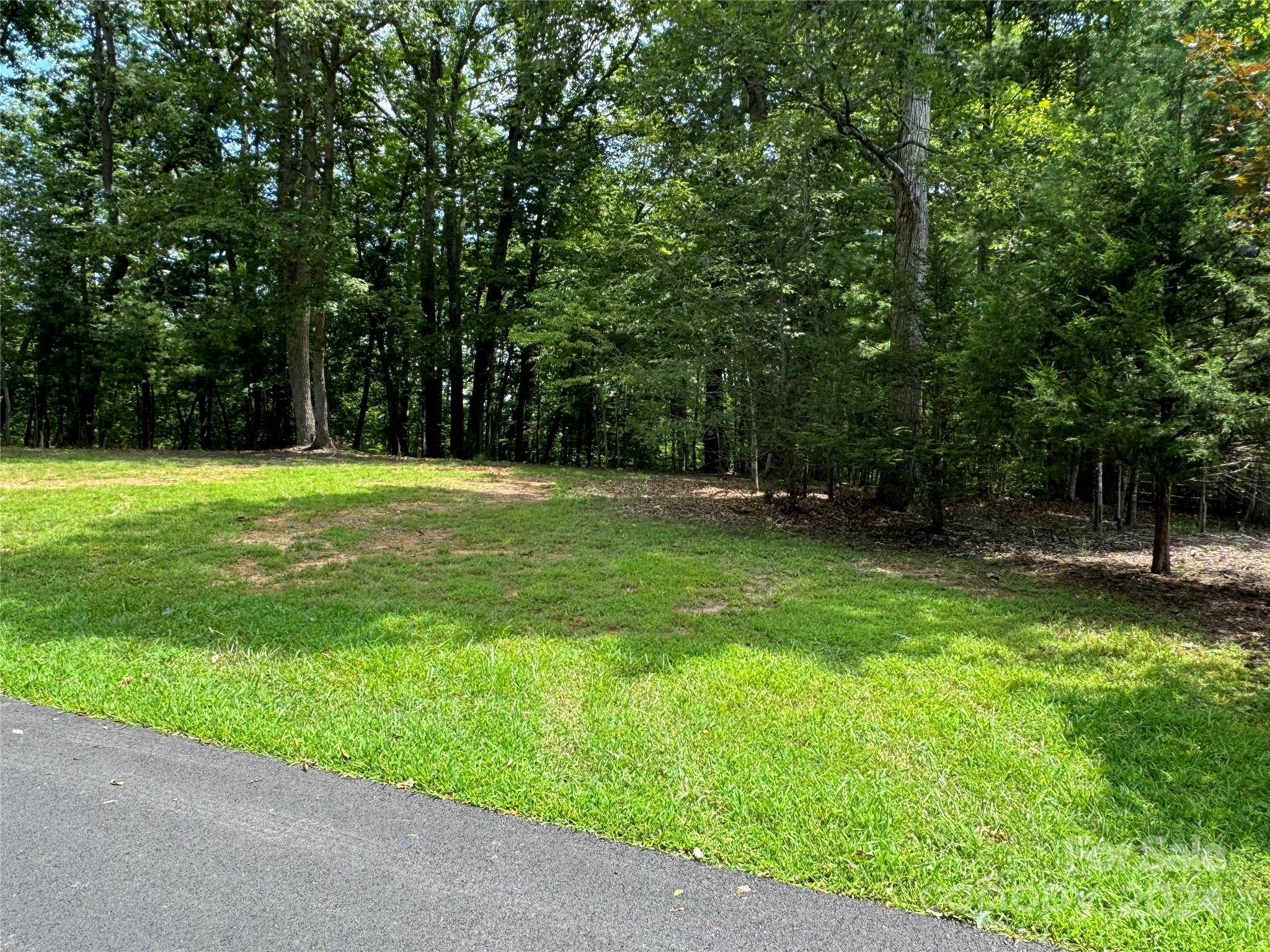 Mars Hill, NC 28787,Lot 6 Settlers TRL