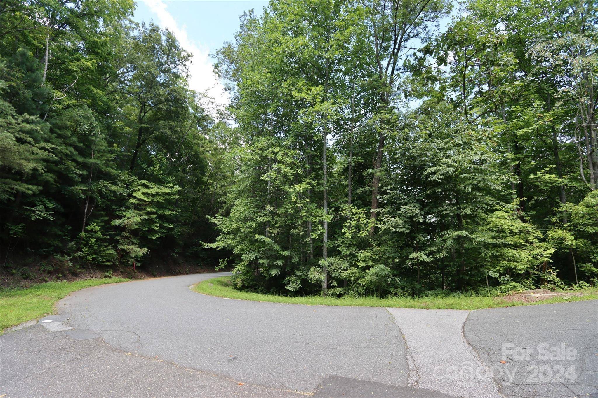 Lake Lure, NC 28746,595 Quail Ridge BLVD