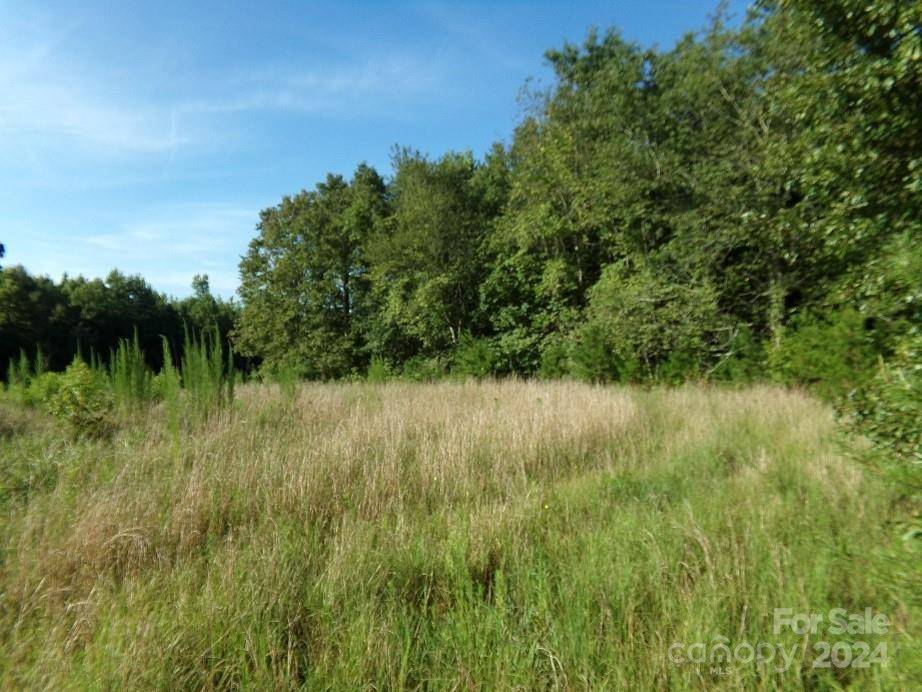 Mooresboro, NC 28114,Lot 5 Painter RD