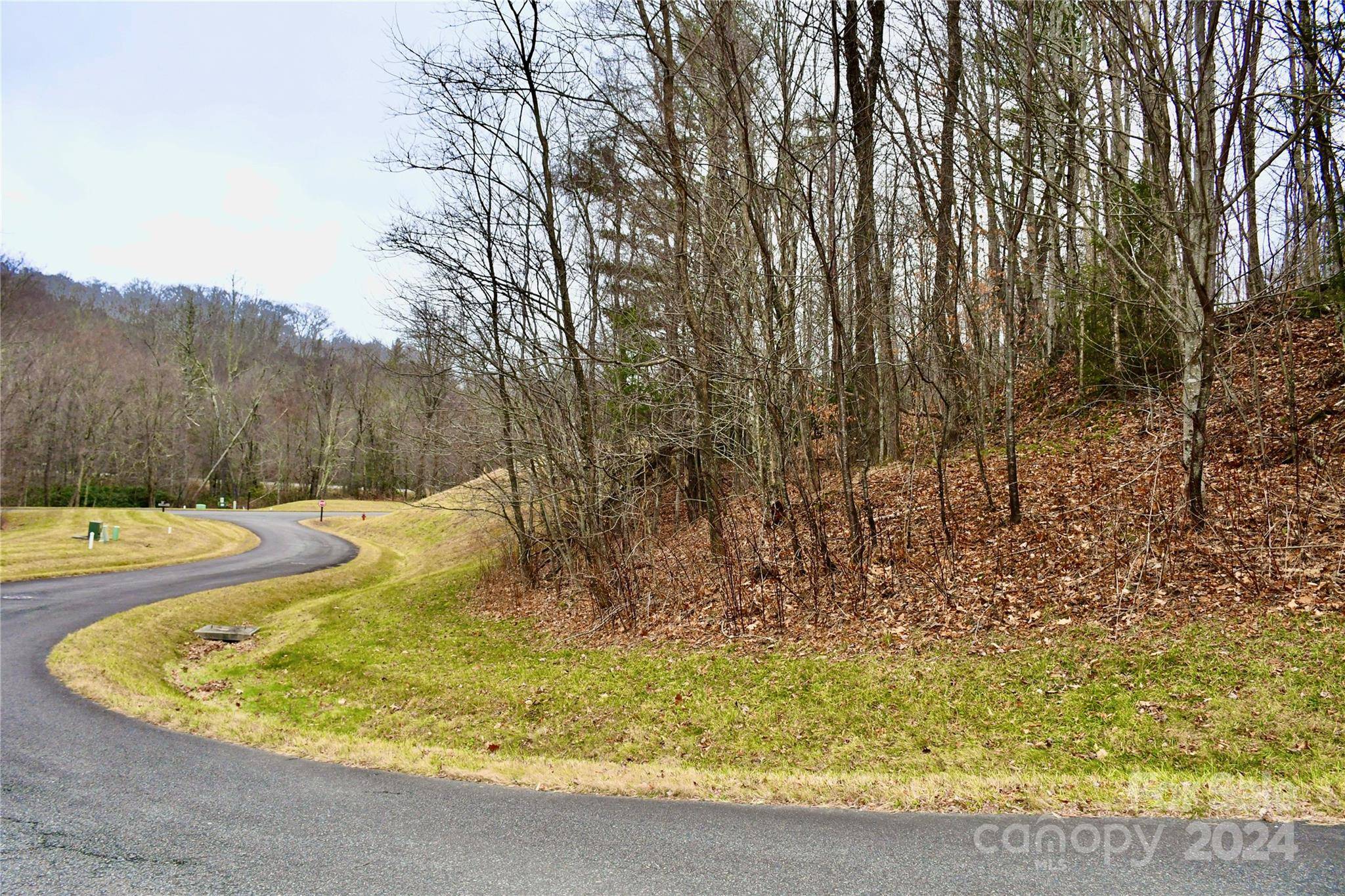 Banner Elk, NC 28604,TBD Trillium LN #Lot 12