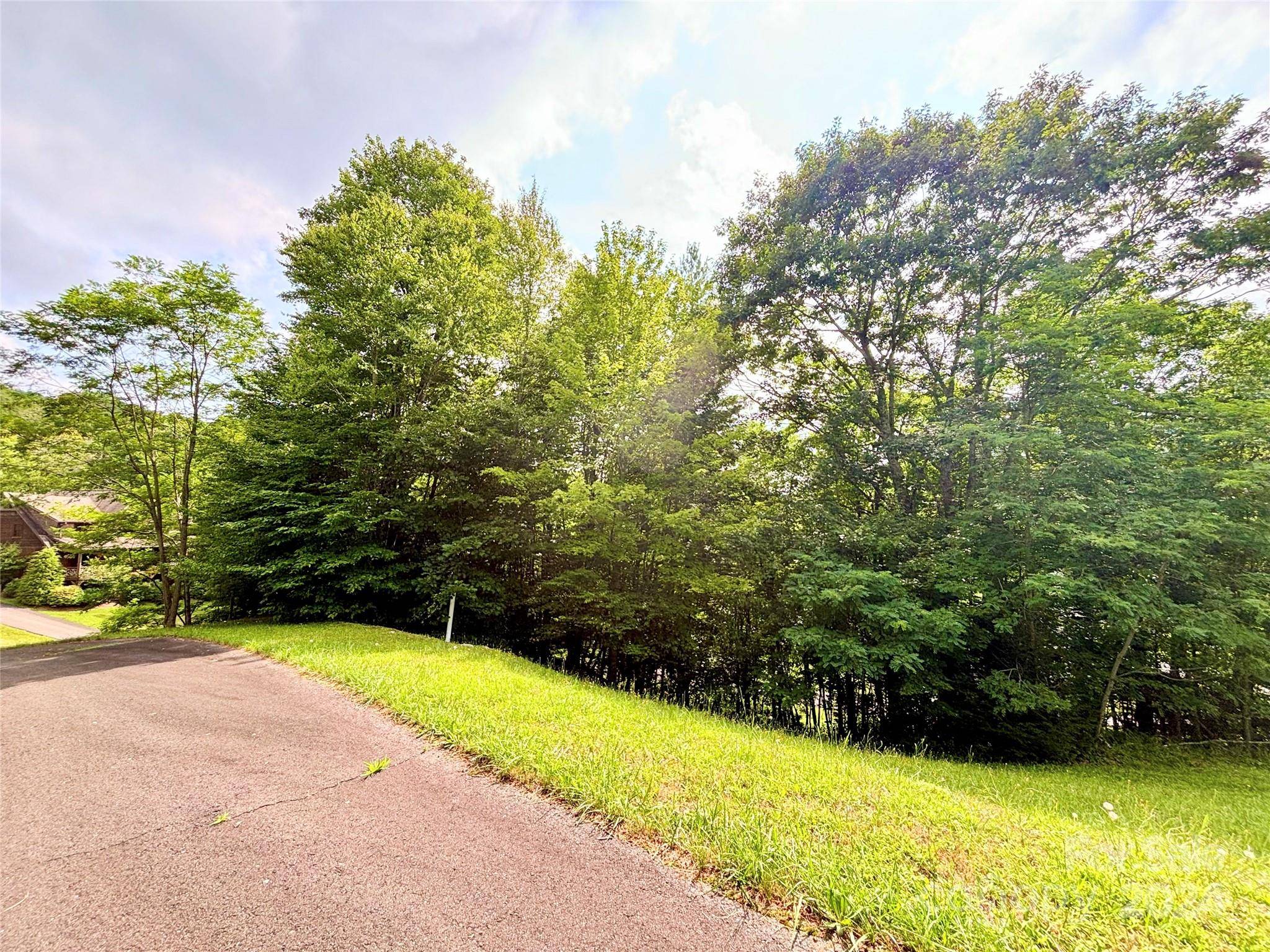 Banner Elk, NC 28604,TBD Trillium LN #Lot 12