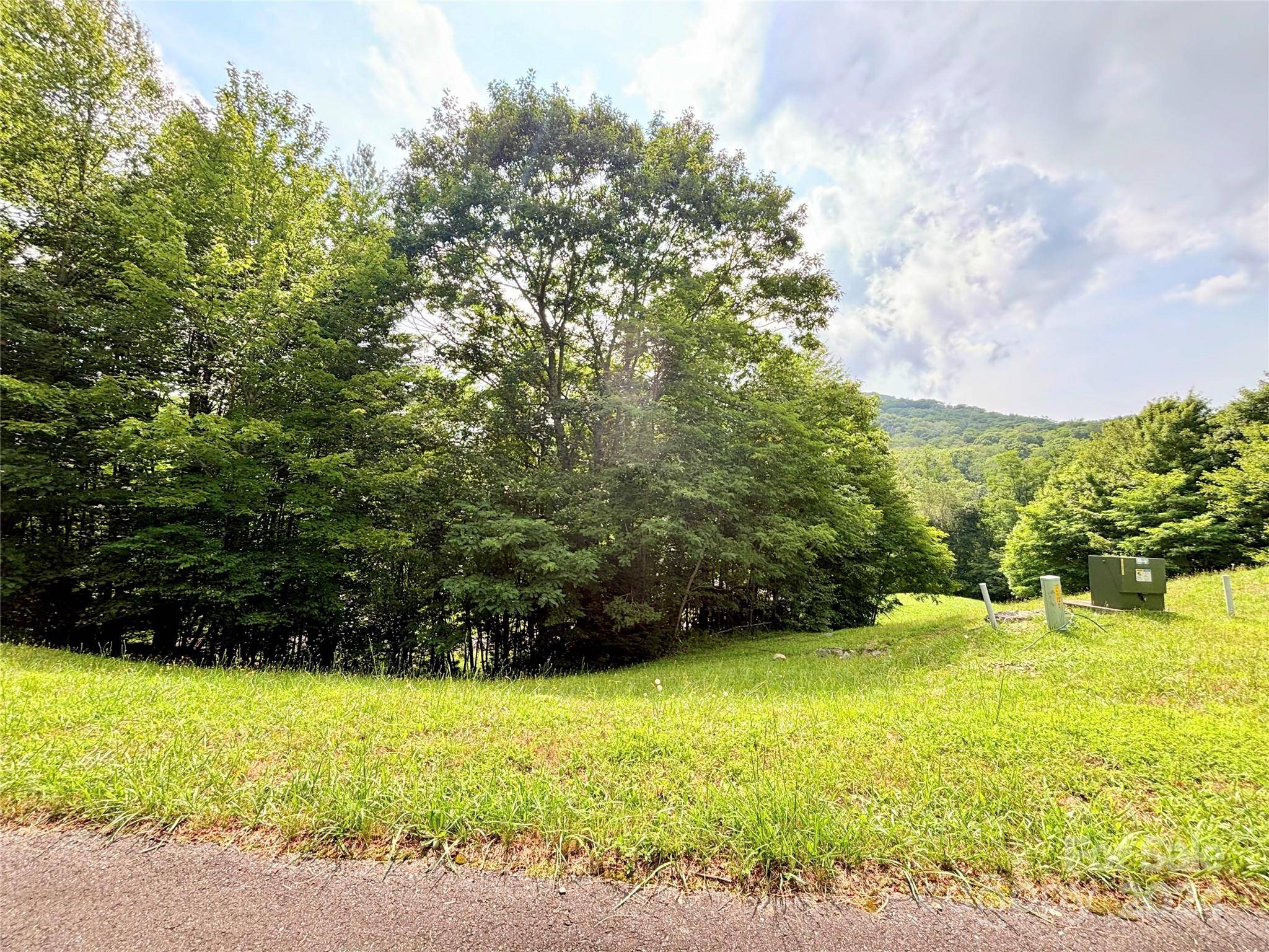 Banner Elk, NC 28604,TBD Trillium LN #Lot 12