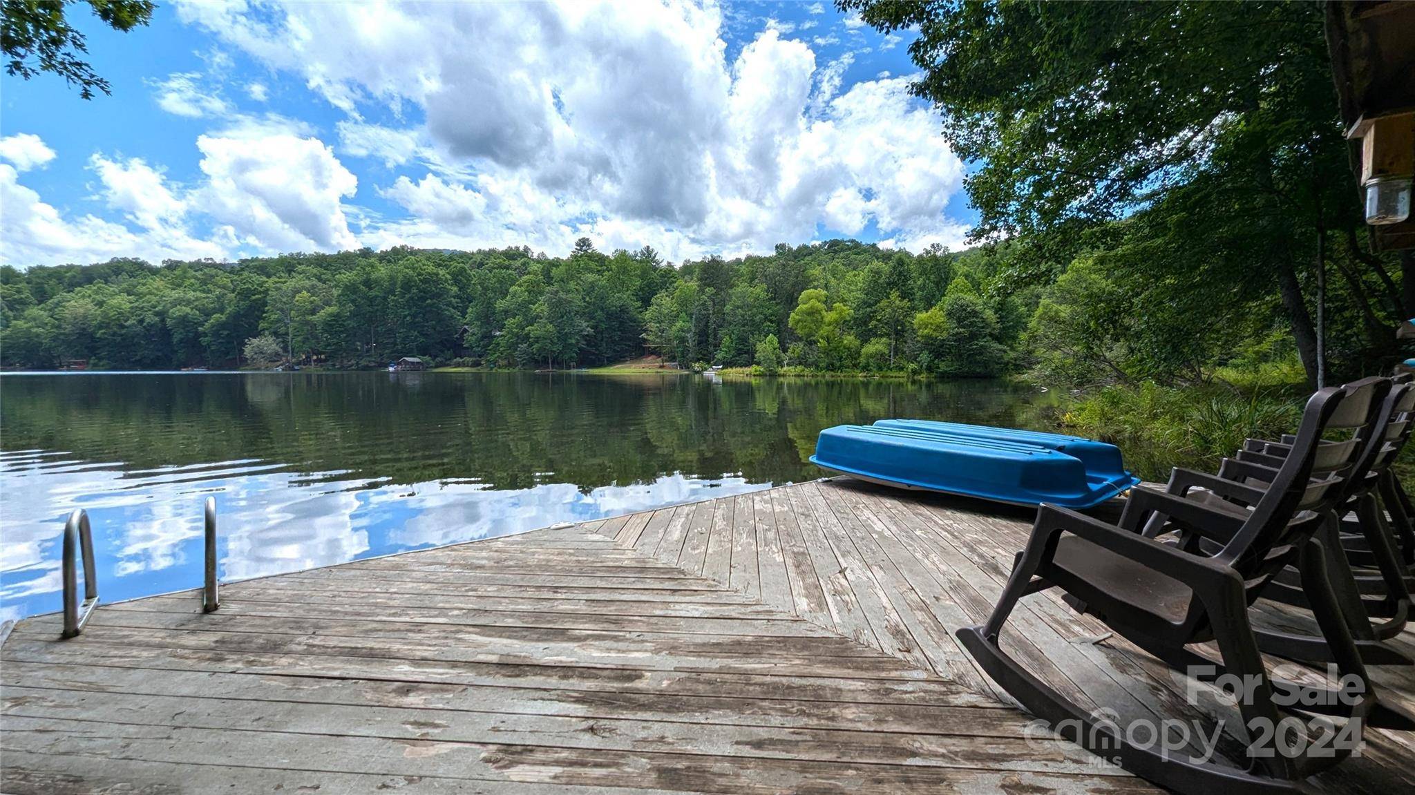 Lake Lure, NC 28746,1943 Buffalo Creek RD