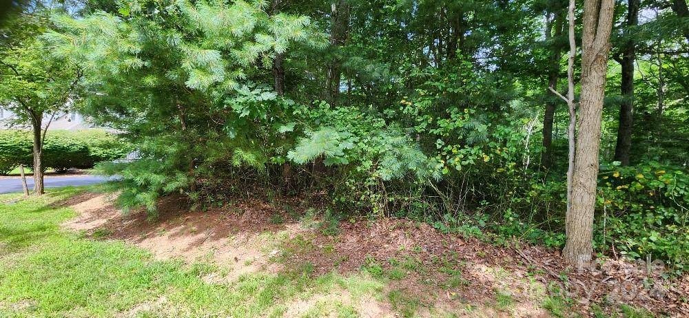 Burnsville, NC 28714,00000 Barebridge DR #9