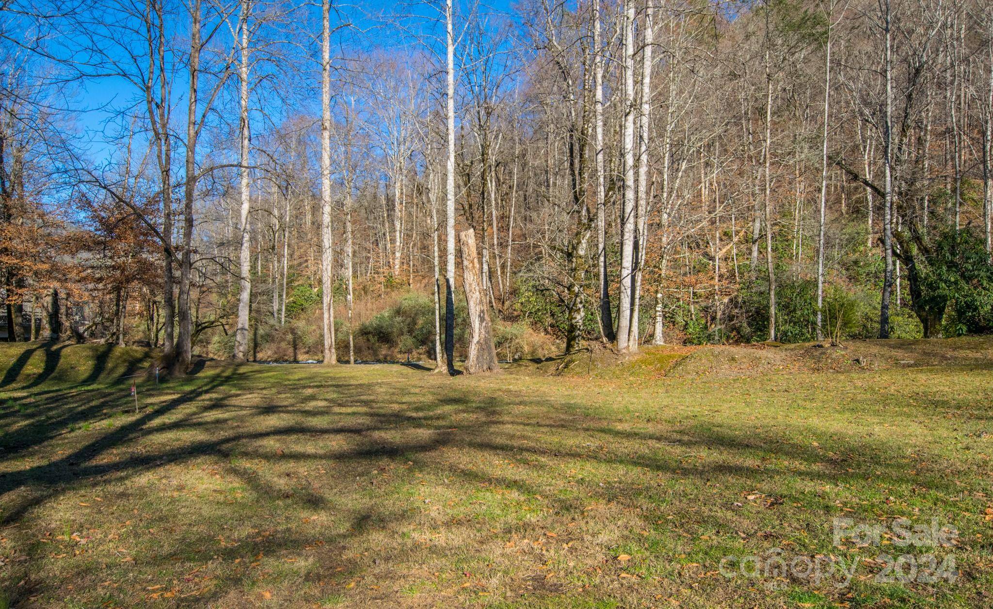 Bryson City, NC 28713,#14 Mystic River WAY #14